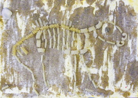 dinosauri_kosti_6